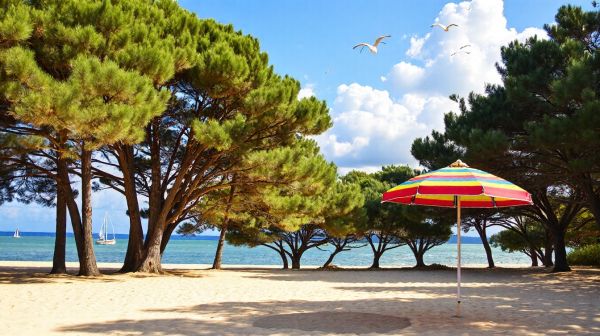 Top 5 raisons de choisir le camping en Charente-Maritime